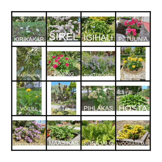 Loodus Kadaka külas Bingo Card