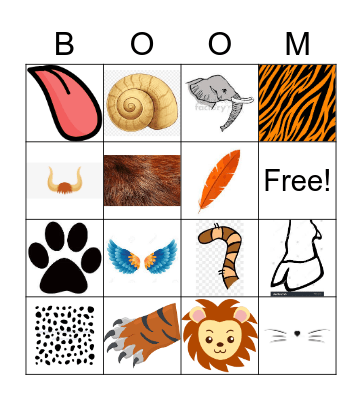 Animals - body parts Bingo Card