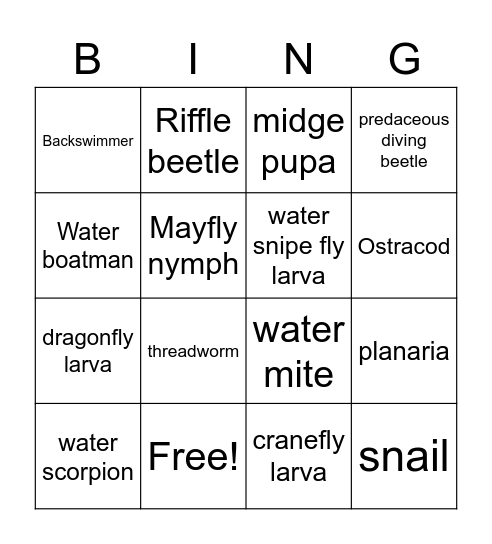 Pond Water Bingo Card