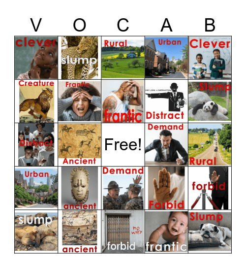 3rd Grade Module 1 Bingo Card