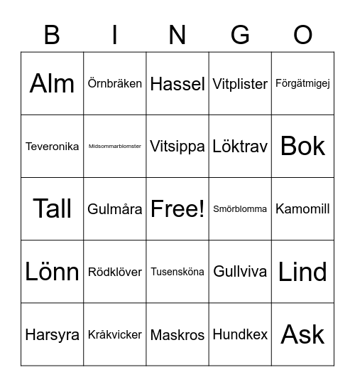 Växter Bingo Card