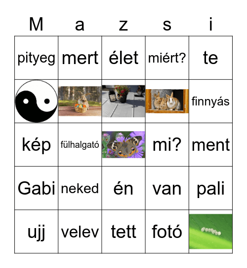mi a neve a képeknek Bingo Card