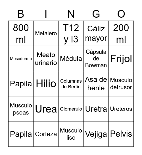 Chapter 12: Urinary System Bingo Card