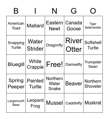 Iowa's Aquatic Animals Bingo Card