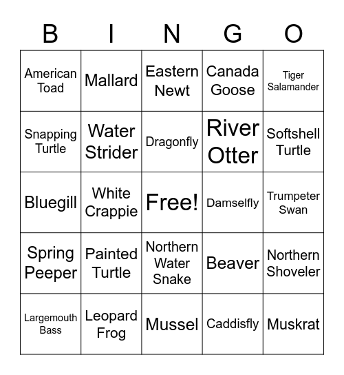 Iowa's Aquatic Animals Bingo Card