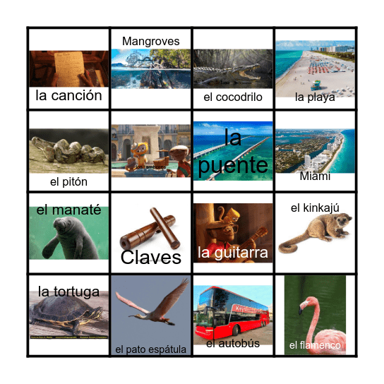 Bingo de la película Vivo Bingo Card