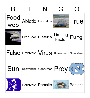 Food Chains/Webs, & Infectious Diseases Bingo Card