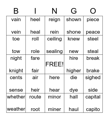 Homonyms Bingo Card