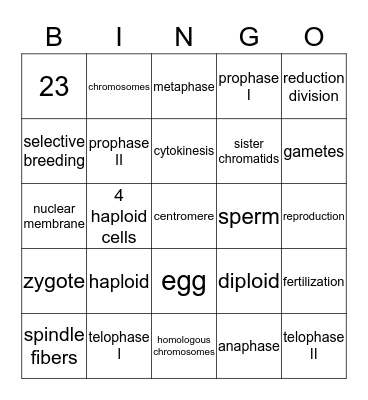 Meiosis Bingo Card