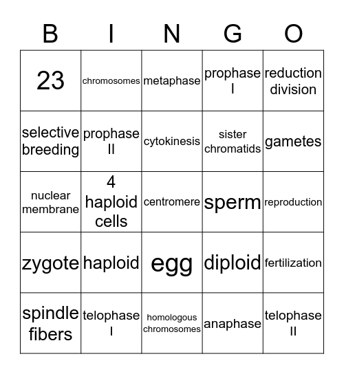 Meiosis Bingo Card