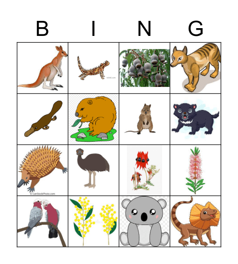 Starlight Bingo - Friday 3pm on Starlight TV Bingo Card