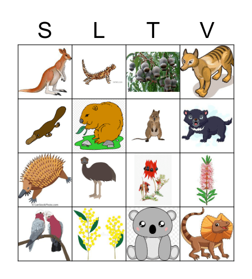 Starlight Bingo - Friday 3pm on Starlight TV - Four in a Row to Win! - Winners CALL 6456 5765 or TEXT 0490 954 741 Bingo Card