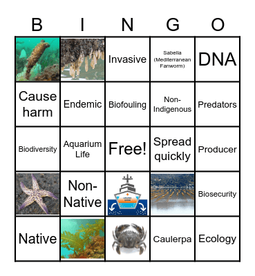 Biosecurity Bingo! Bingo Card