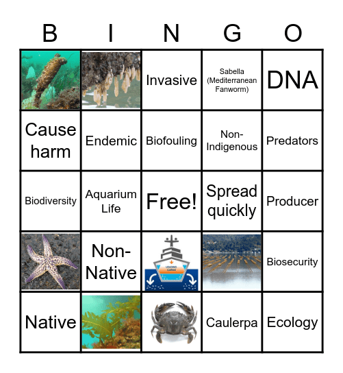 Biosecurity Bingo! Bingo Card