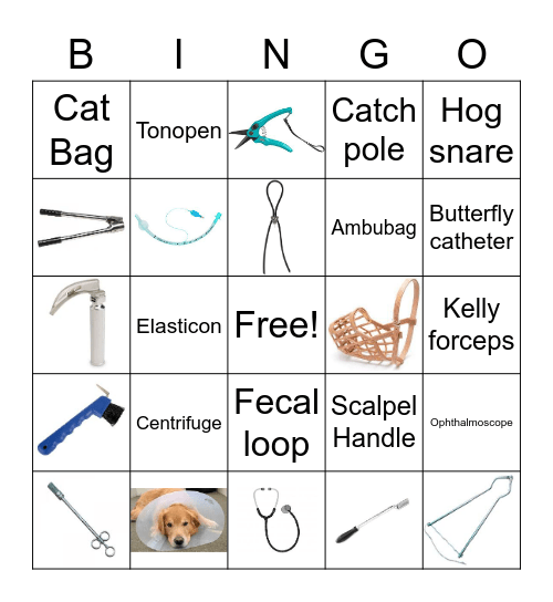 Common Equipment Bingo Card