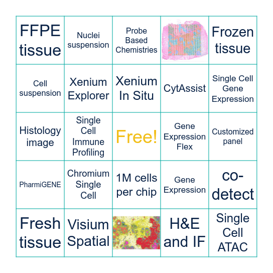 PharmiGENE Bingo Game Bingo Card