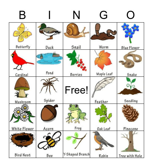 Nature Bingo Card