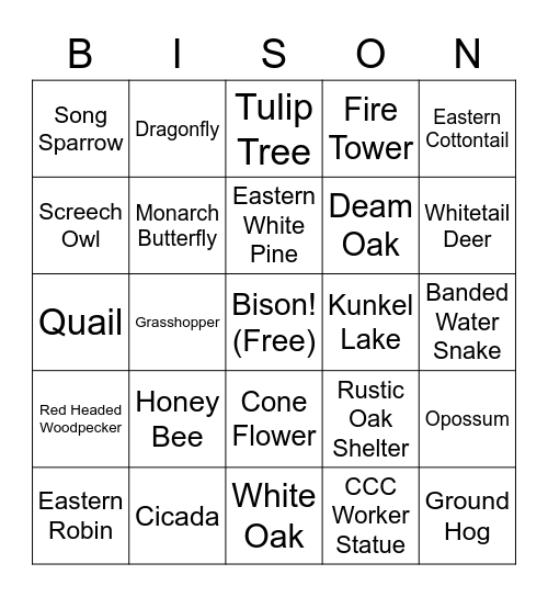 Ouabache Bingo Card