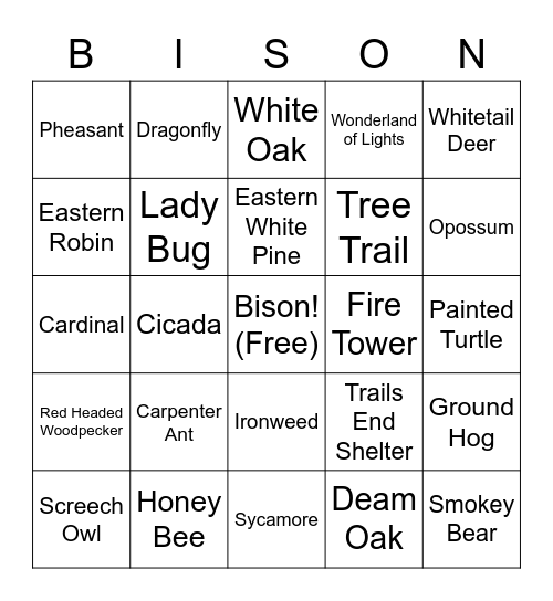 Ouabache Bingo Card