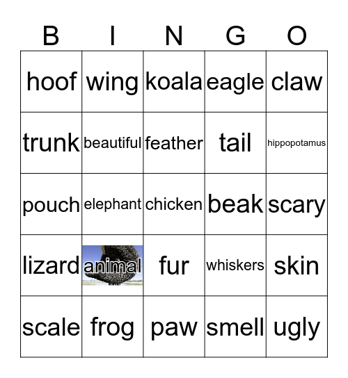 Animal Part Bingo Card