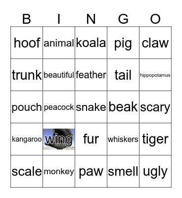 Animal Part Bingo Card