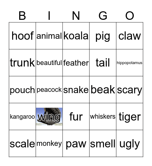 Animal Part Bingo Card