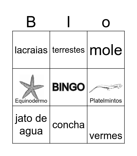 Invertebrados Bingo Card