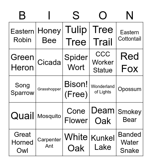 Ouabache Bingo Card