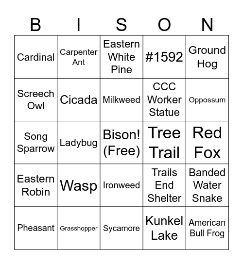 Ouabache Bingo Card