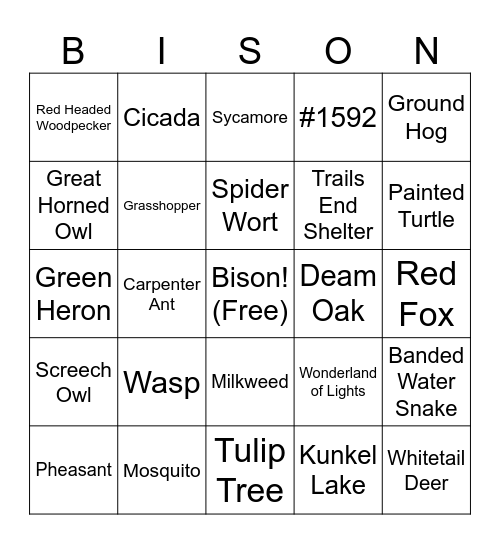Ouabache Bingo Card