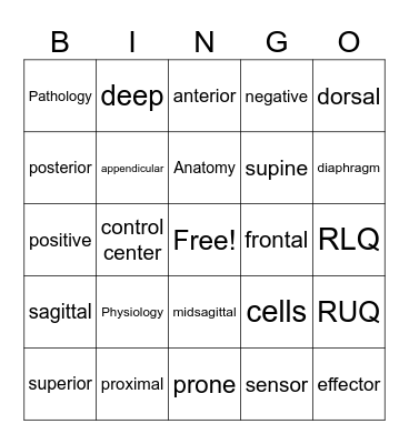 BIO206 Chapter 1 Bingo Card