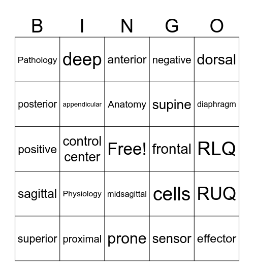 BIO206 Chapter 1 Bingo Card