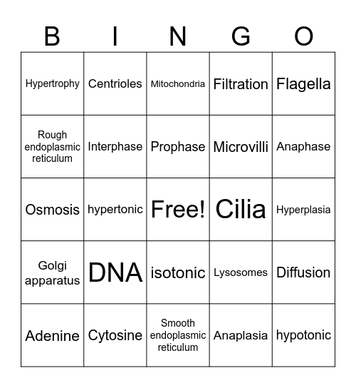 BIO206 Chapter 3 Bingo Card