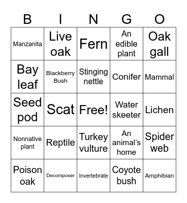 Camp Bingo Card