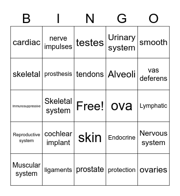 BIO206 Chapter 5 Bingo Card