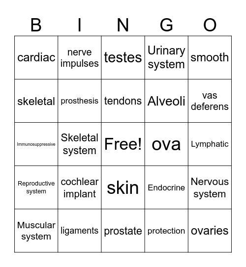 BIO206 Chapter 5 Bingo Card