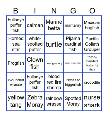 Marine Life Bingo Card