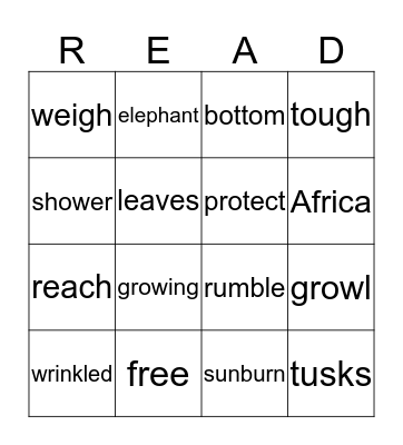 African Elephants Bingo Card