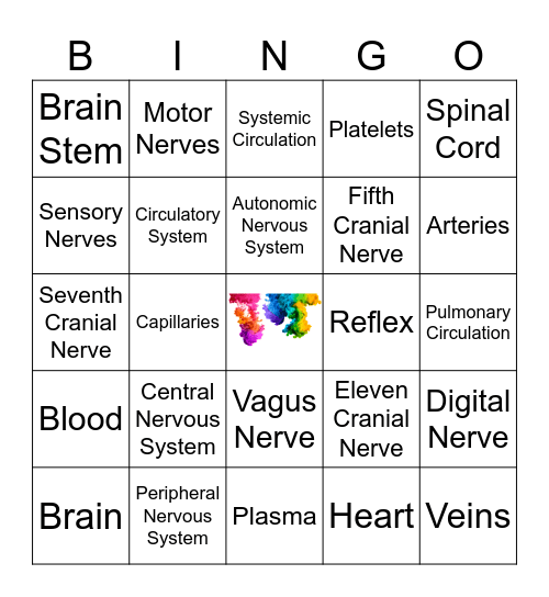 FU CH2 Anatomy-Nerves & Circulatory Bingo Card