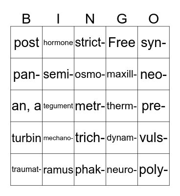 Medical Terminology Cht 10 Bingo Card