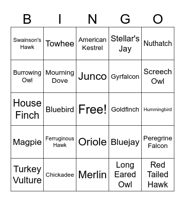 Bird Watching Bingo Card