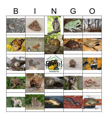 Nature Bingo Card