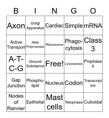 Mighty Mitochondria Bingo Card