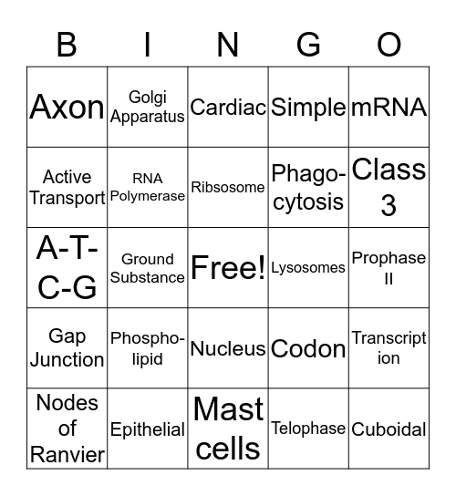 Mighty Mitochondria Bingo Card