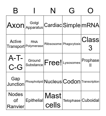 Mighty Mitochondria Bingo Card