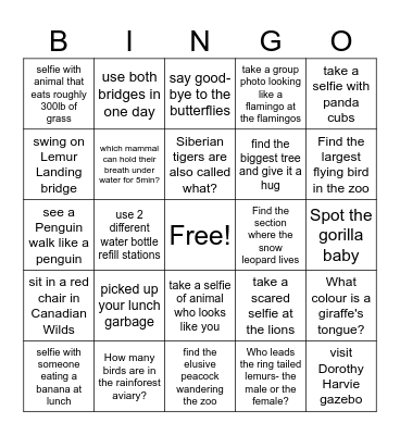 Calgary Zoo Wellness Scavenger Hunt Bingo Card