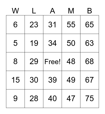 CAMP LBMS 2023 Bingo Card