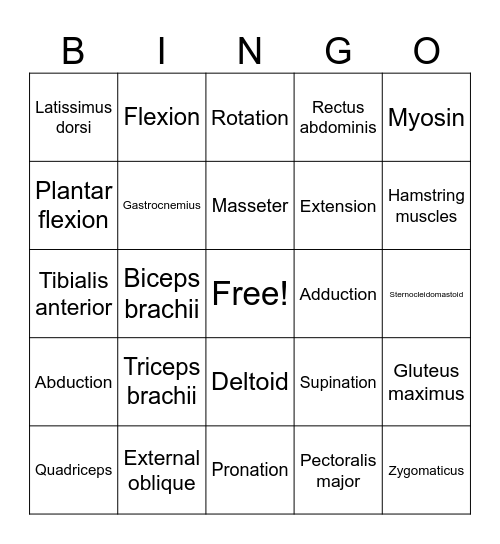 BIO206 Chapter 9 Bingo Card