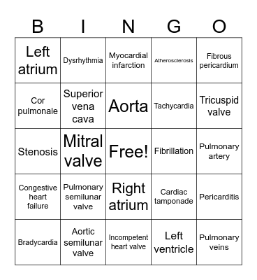 BIO206 Chapter 14 Bingo Card