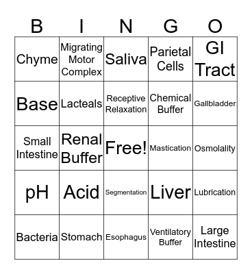 Digestion and Absorption  Bingo Card